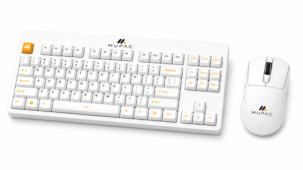 KEYBOARDS & MICE